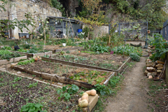 Cliquez sur la vignette pour l'agrandir